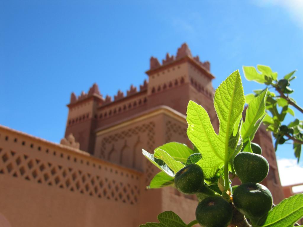 Kasbah Ait Kassi Hotel Boumalne Dades Exterior photo